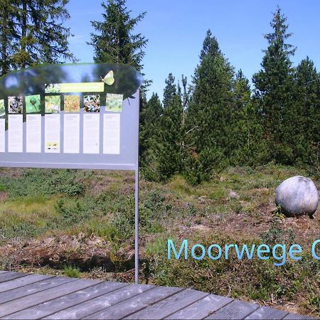 Ferienwohnung Schoene Auszeit Oy-Mittelberg Luaran gambar